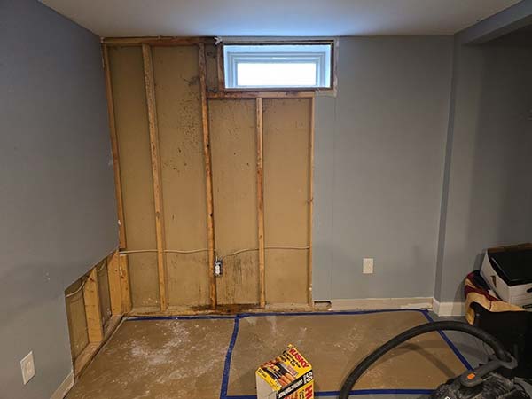 Mold Remediation Services