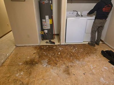 Mold Removal Remediation Services 1